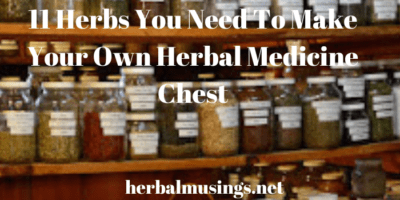 11 Herbs You Need To Make Your Own Herbal Medicine Chest