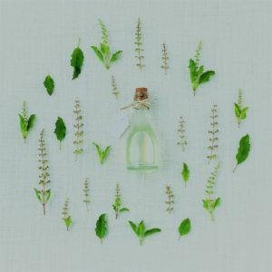 Herbal Glossary