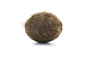 coconut