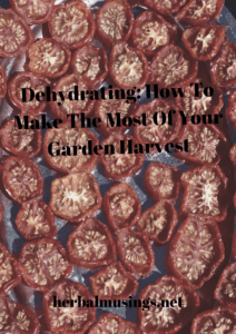 Dehydrating: How To Make The Most Of Your Garden Harvest