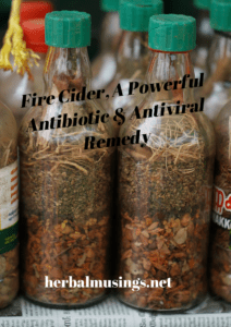 Fire Cider, A Powerful Antibiotic & Antiviral Remedy 