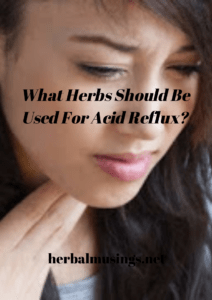 What Herbs Should Be Used For Acid Reflux?