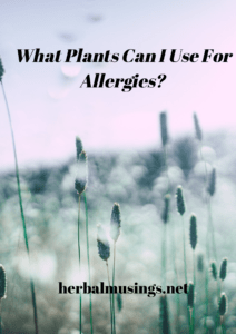 What Plants Can I Use For Allergies?