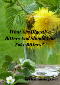 What Are Digestive Bitters And Should You Take Bitters?