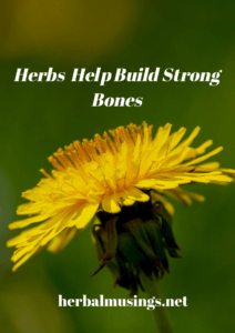 Herbs Help Build Strong Bones