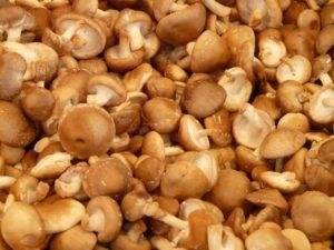 15 Herbs And Mushrooms Offer Assistance For Fibromyalgia