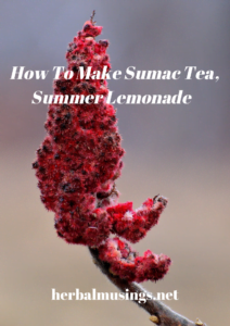 How To Make Sumac Tea, Summer Lemonade 