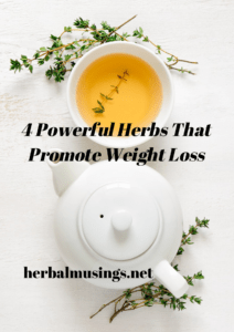 4 Powerful Herbs That Promote Weight Loss