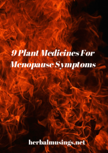 9 Plant Medicines For Menopause Symptoms