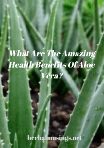 What Are The Amazing Health Benefits Of Aloe Vera?