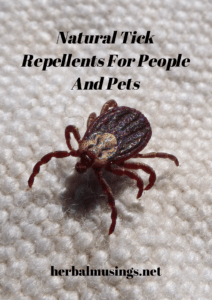 Natural Tick Repellents For People And Pets