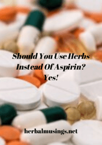 Should You Use Herbs Instead Of Aspirin? Yes!