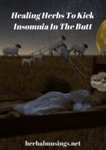 Healing Herbs To Kick Insomnia In The Butt