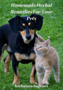 Homemade Herbal Remedies For Your Pets