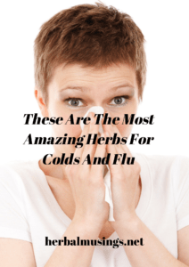 These Are The Most Amazing Herbs For Colds And Flu