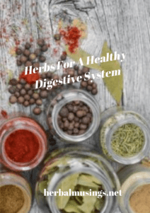 Herbs For A Healthy Digestive System