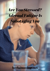 Are You Stressed? Adrenal Fatigue Is Sabotaging You