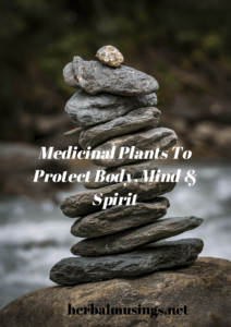 Medicinal Plants To Protect Body Mind And Spirit