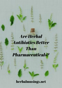 Are Herbal Antibiotics Better Than Pharmaceuticals?