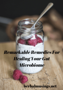 Remarkable Remedies For Healing Your Gut Microbiome