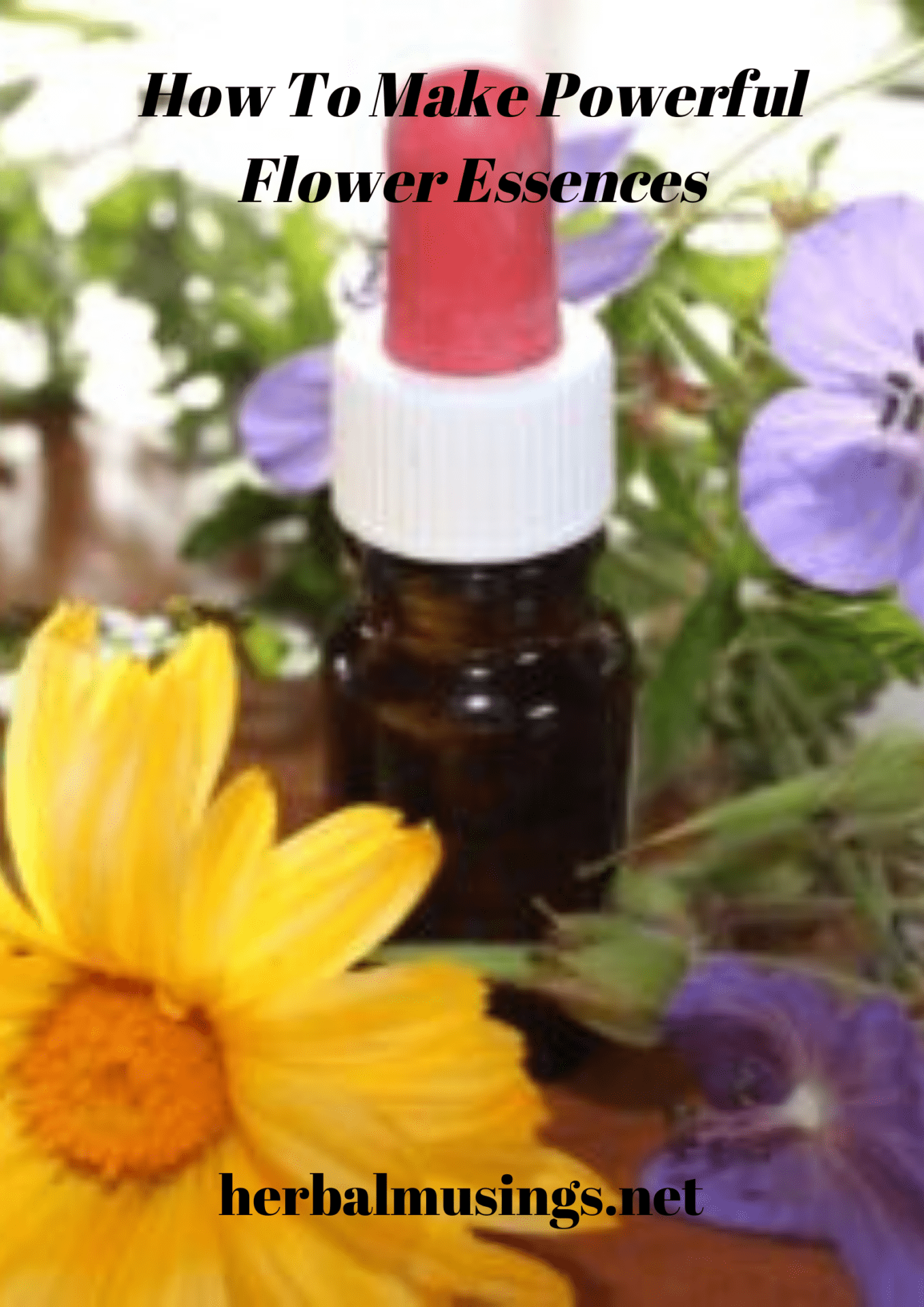 How To Make Powerful Flower Essences Herbal Musings