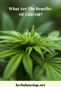 What Are The Benefits Of CBD Oil?