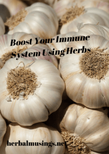 Boost Your Immune System Using Herbs