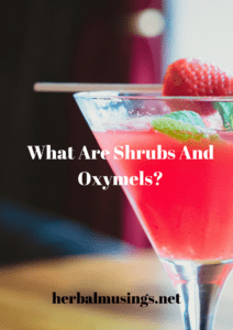 What Are Shrubs And Oxymels?