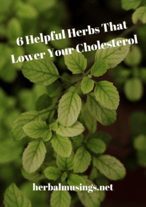 6 Helpful Herbs That Lower Your Cholesterol