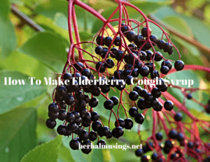 how to make elderberry cough syrup