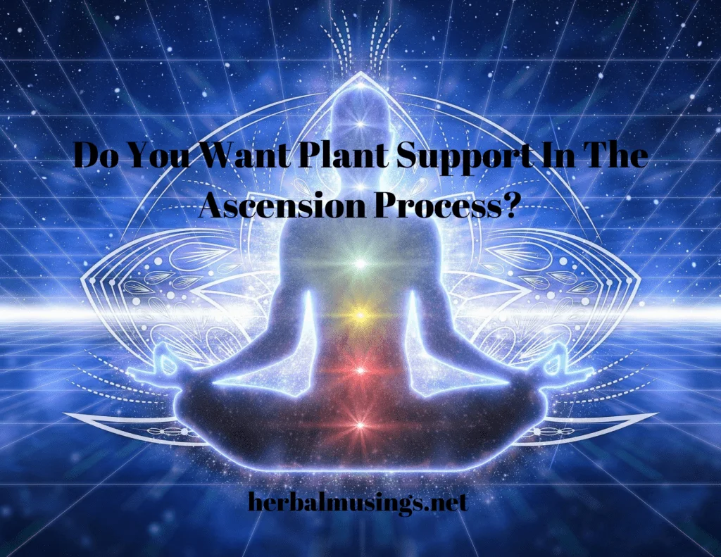 Do You Want Plant Support In The Ascension Process? Do You Want Plant Support In The Ascension Process?