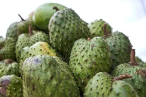 soursop bitters